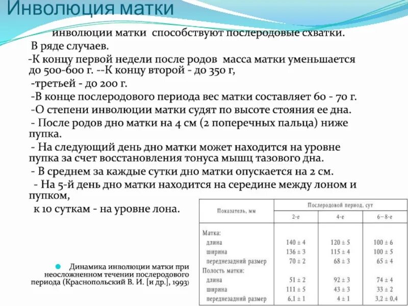 Какого размера матка у женщины в обычном. Матка после родов размеры по дням. сроки инволюции матки после родов. инволюция матки в послеродовом периоде.
