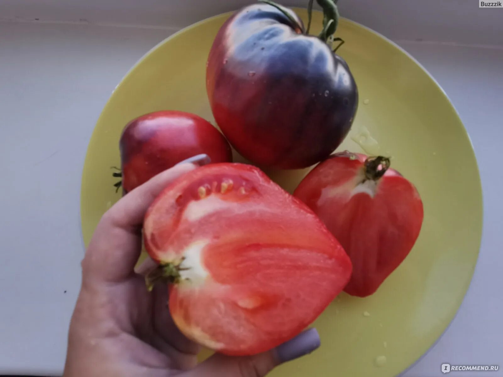 Семена томата сорта Sgt. Peppers (Сержант Пеппер) - Синие - Товар на картинке можно купить.