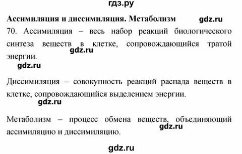 Биология 9 класс пасечник конспекты параграфов