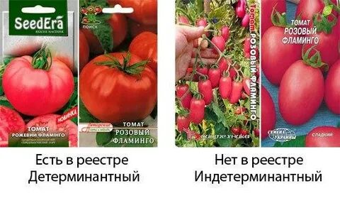 Фламинго помидоры описание сорта фото отзывы садоводов