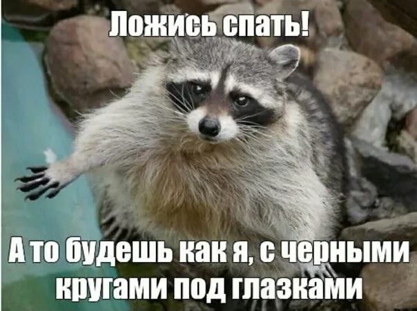Давай быстрее спать. Давай спать ложись. давай спать картинки.