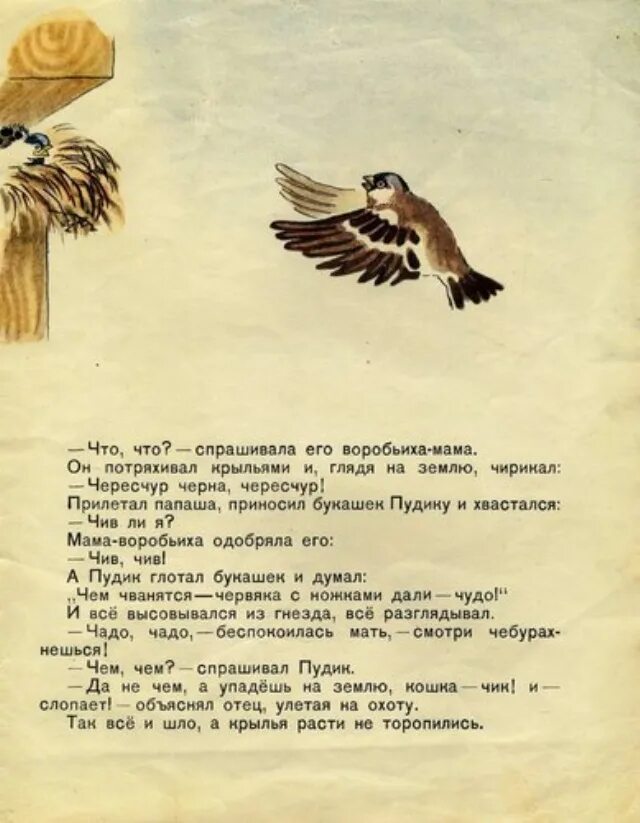 Произведение м горького воробьишка. Иллюстрации к рассказу Воробьишко Максима Горького.