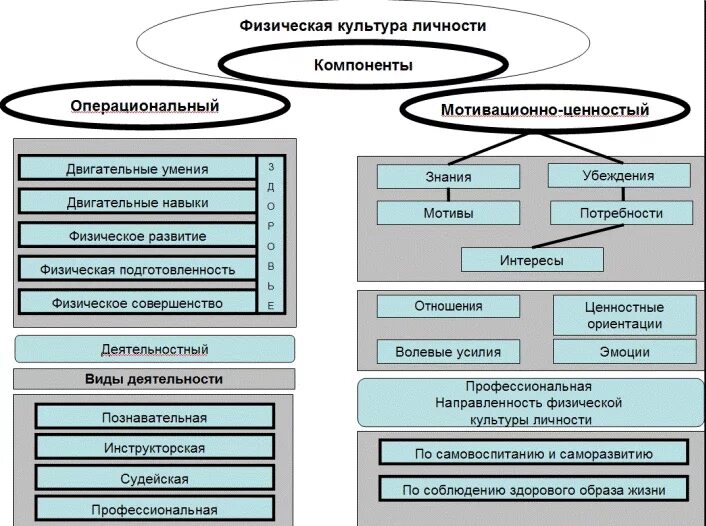 Структура компоненты физической культуры