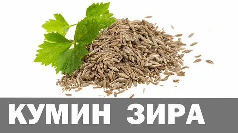 Зира польза