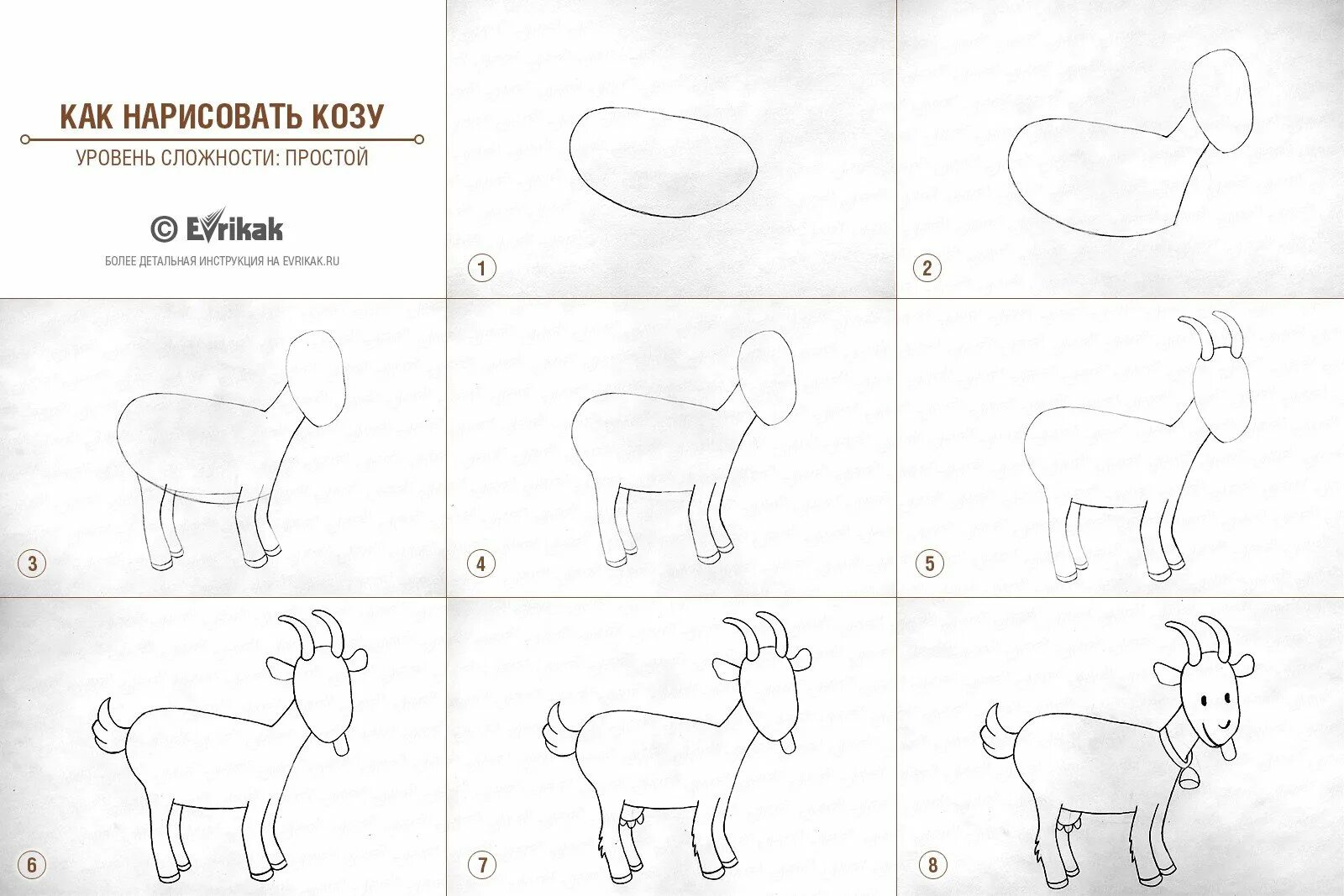 Рисование в средней группе козлятки выбежали погулять. Козленок поэтапное рисование для детей. Поэтапное рисование козленка. Как нарисовать козу для детей поэтапно. Пошаговое рисование козленка для детей.