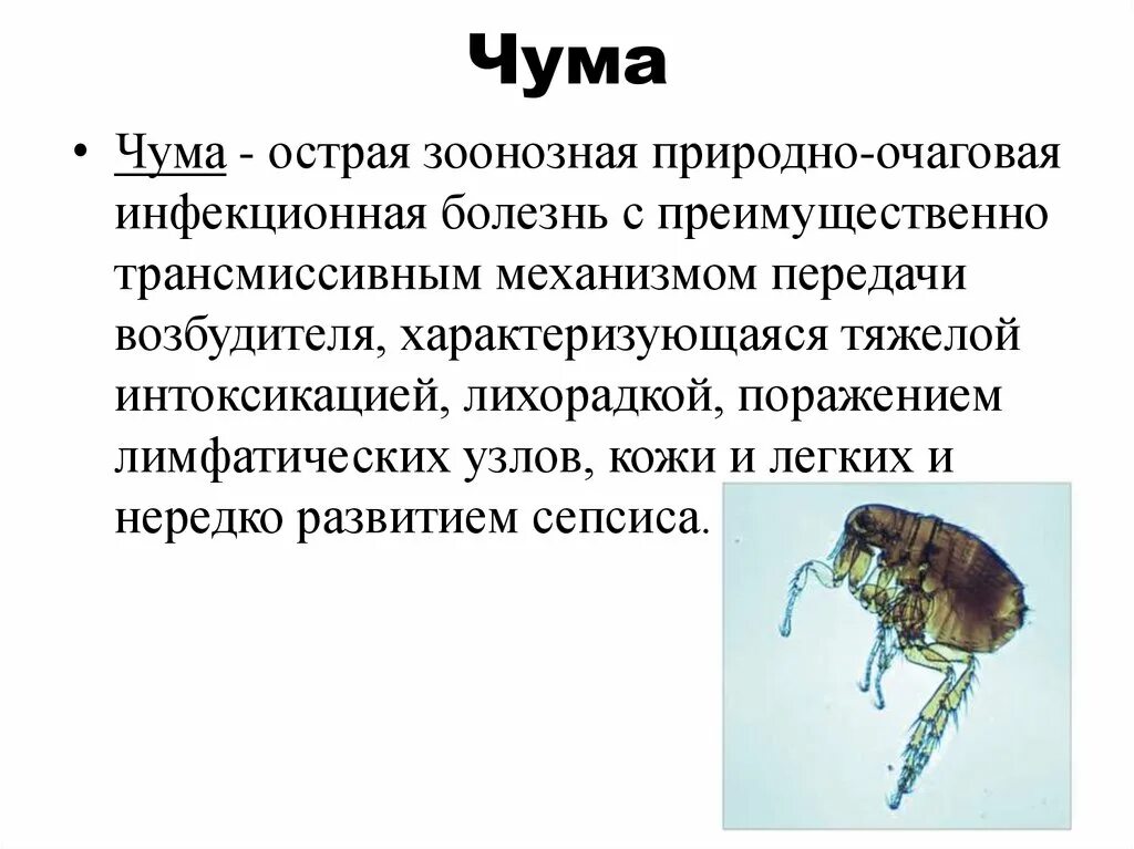 Туляремия возбудитель инфекции. Туляремия механизм передачи возбудителя. Специфические переносчики чумы. Клинические проявления чумы. Трансмиссивные природные заболевания