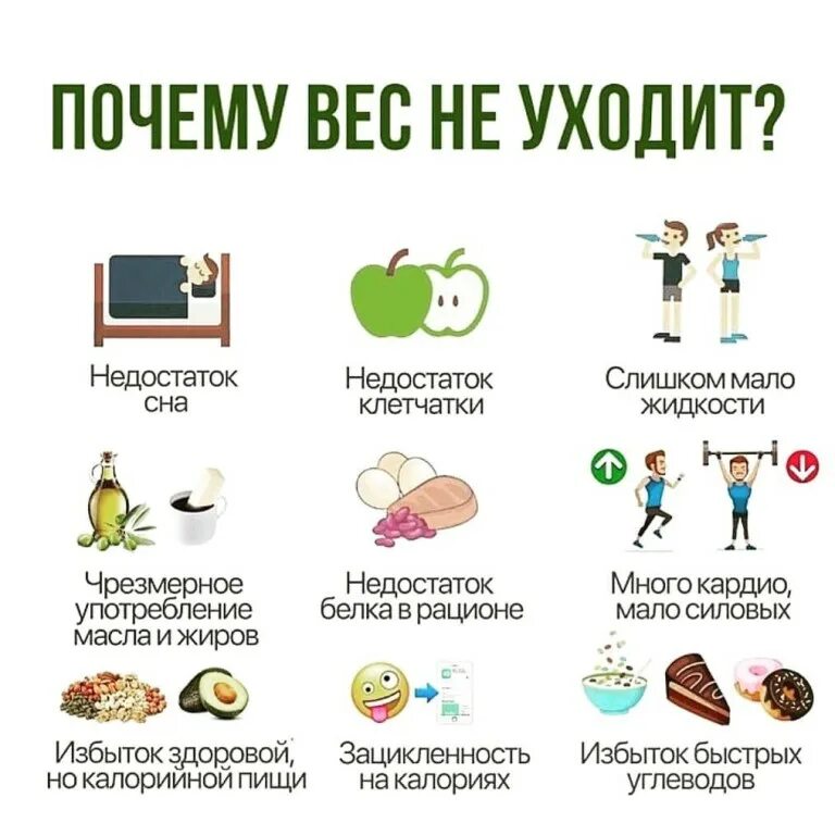 Можно ли похудеть если вообще не есть