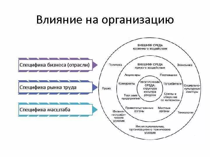 Развитие бизнес среды. Внешняя среда бизнеса. Система внешней среды бизнеса.. Внешняя среда кафе. Характеристика маркетинговой среды рынка.