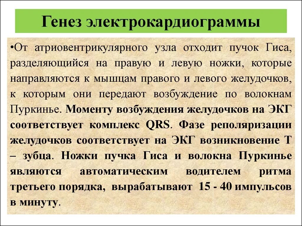 Биопотенциалы левого желудочка что это. Гипертрофия желудочков аускультация. Гипертрофия лж на экг. Биопотенциалы левого желудочка что это. Дилатационная кардиомиопатия.