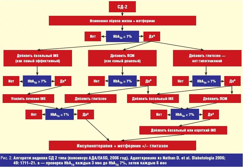 Сахарный диабет 2 типа схема терапии. Принципы терапии сд2. Терапия СД 2 типа. Схема лечения СД 2 типа.