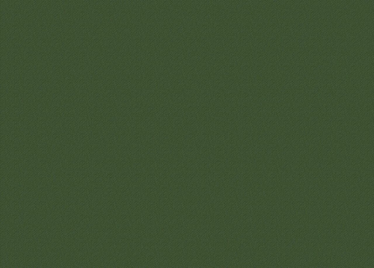 Оливковые стены в интерьере. Палитра dulux оливковый. Ral: 6003 оливково-зеленый. Dulux прованский зеленый. Палитра dulux оливковый.