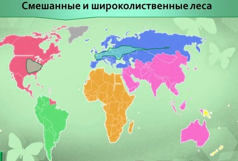 Распространение смешанных и широколиственных лесов. Смешанные и широколиственные леса на карте. смешанные и широколиственные леса на карте россии. зона широколиственных лесов на карте.
