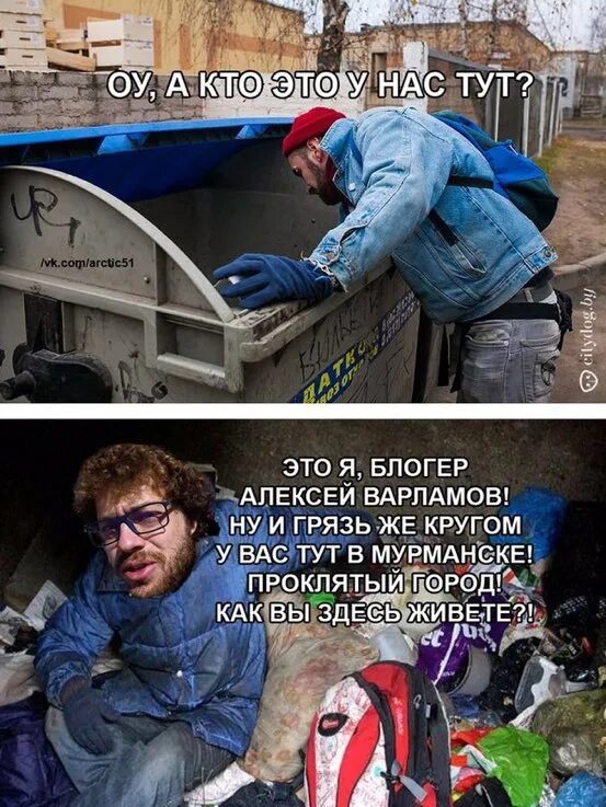 Как проверить везде. Свинья везде грязь найдет. варламов мемы. свинья везде грязь найдет картинки.