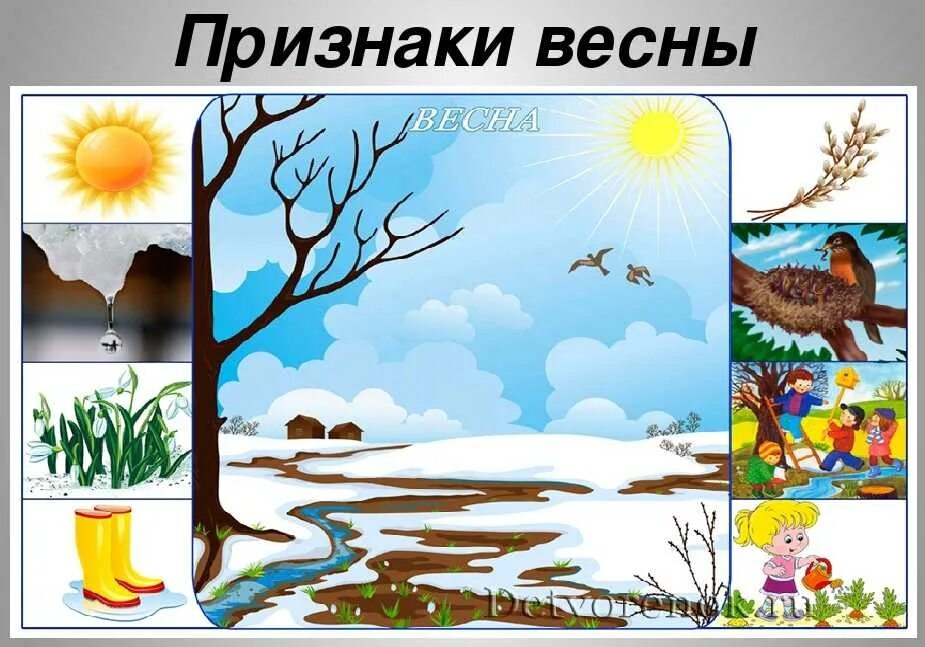 Для изучения сезонных изменений в природе используют