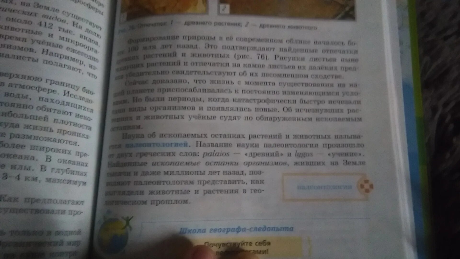 Конспект география 5 класс параграф 5. Конспект 5 класс география. Конспект 9 по географии класс 5. Конспект по географии 5 класс параграф 6.