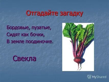 Свекла повторить