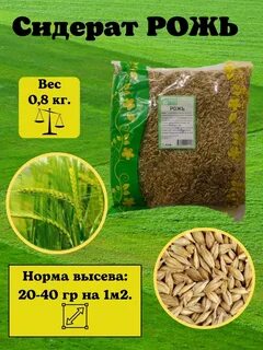 Рожь для огорода
