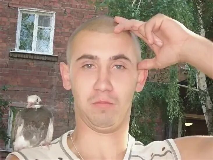 Хомутов иркутск. Хомутов иркутск