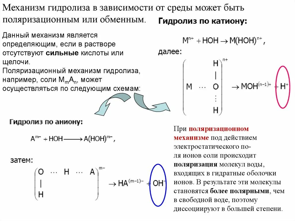 Гидролиз зависит от. Механизм протекания реакции гидролиза. Гидролиз солей механизм гидролиза. Гидролиз механизм реакции. Представления о механизмах реакций гидролиза солей..