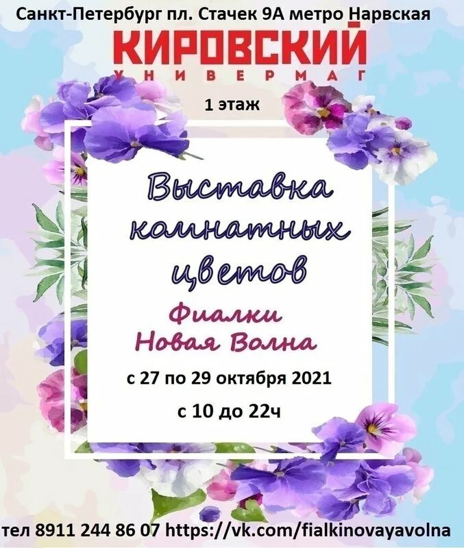Выставка фиалок в спб 2022. Выставка в кировском универмаге. Сорт фиалки квазар. Фиалки выставка кировский универмаг. Выставка фиалок в спб 2022 в кировском универмаге.