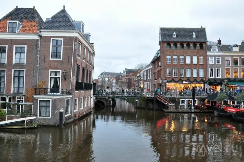 Die leiden