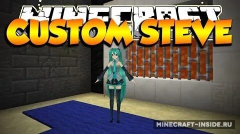 Custom steve
