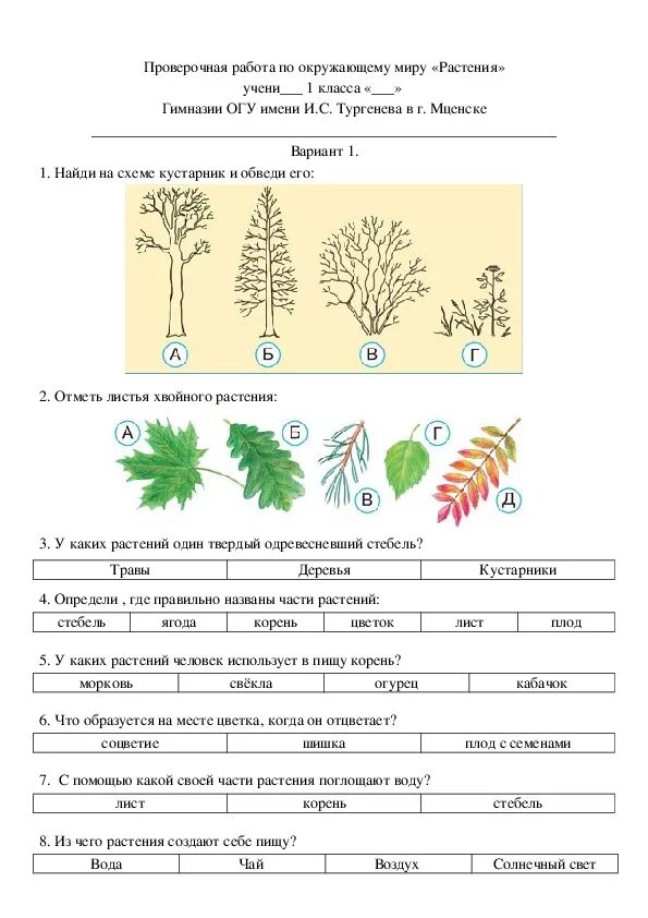 Проверочная работа по растительному сообществу. Задания растения 1 класс. Разнообразие растений задания. Задание про растения для 2 класса. Задание на тему разнообразие растений.