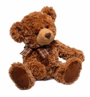 Teddy toys