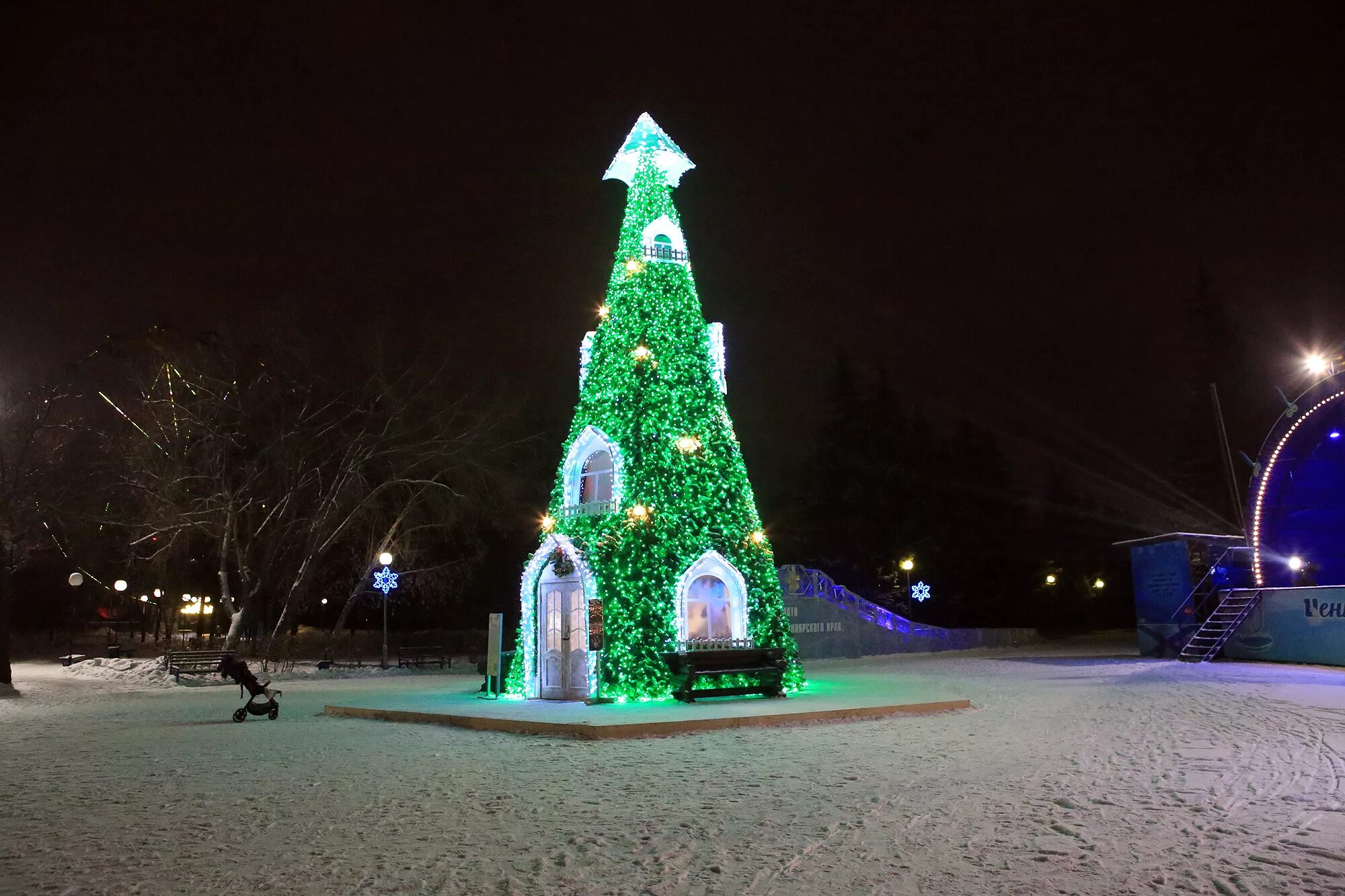елка на море. елка берегом. берегом яаvь. елка новогодняя на берегу моря. новый год на море.