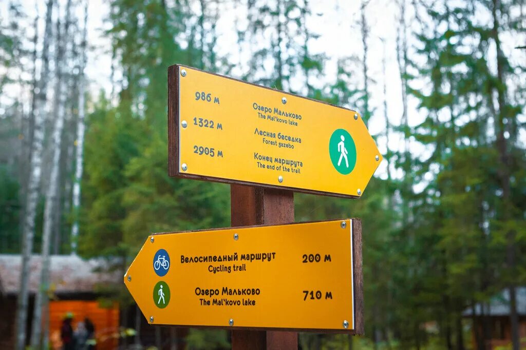 экотропа лесная тропа воейково. экотропа в московской области. эко тропа мыс киперорт на карте. экомаршруты ленобласти. тропа 47 маршруты.
