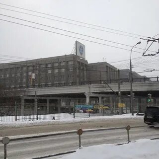 Маи сокол
