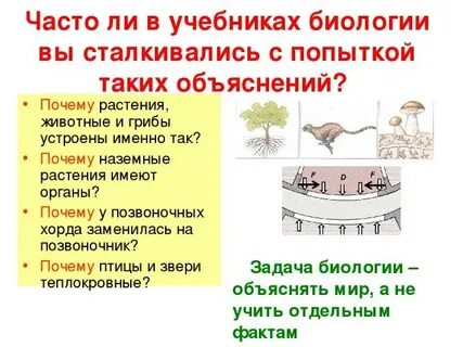Биология пояснение