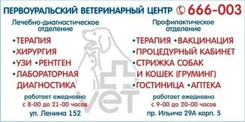 Вет плюс телефон