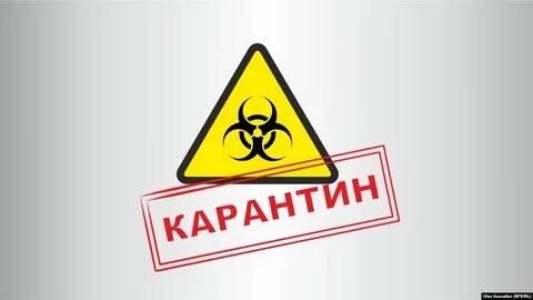 Во время карантина должны
