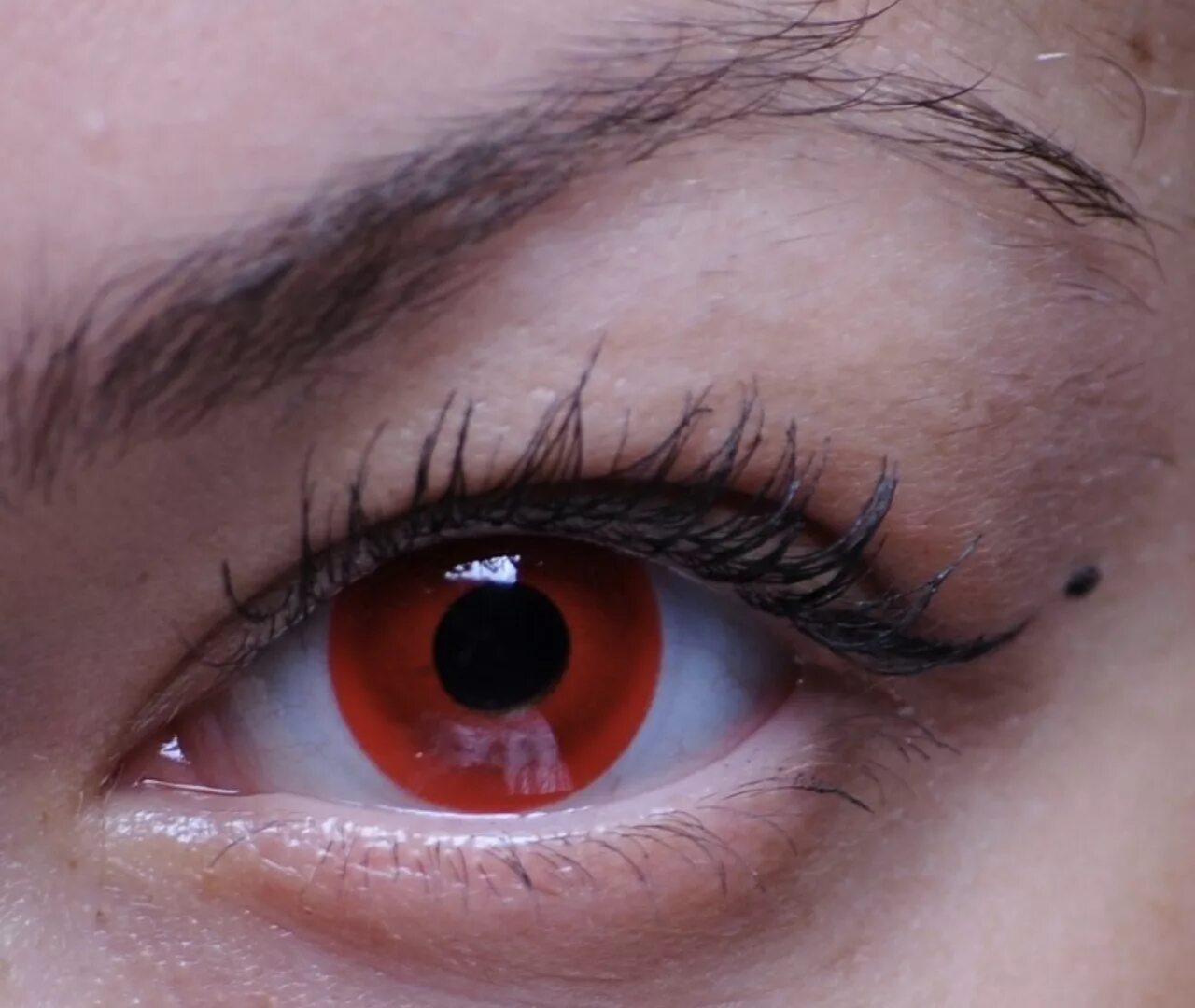 глазки красные но мы в сказке там. глазки красные но мы в сказке там. глаза в темноте. глазки красные но мы в сказке там. склеральные линзы tokyo ghoul.