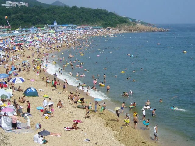 Китай далянь отдых. Желтое море китай далянь. далянь пляж ракушка. вэйхай пляж. далянь пляжи.