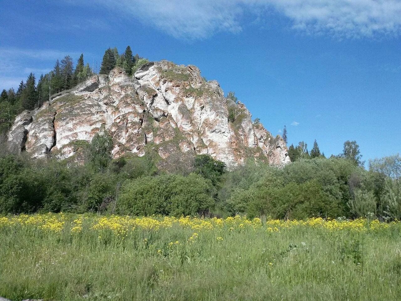 Красноуфимская сарана