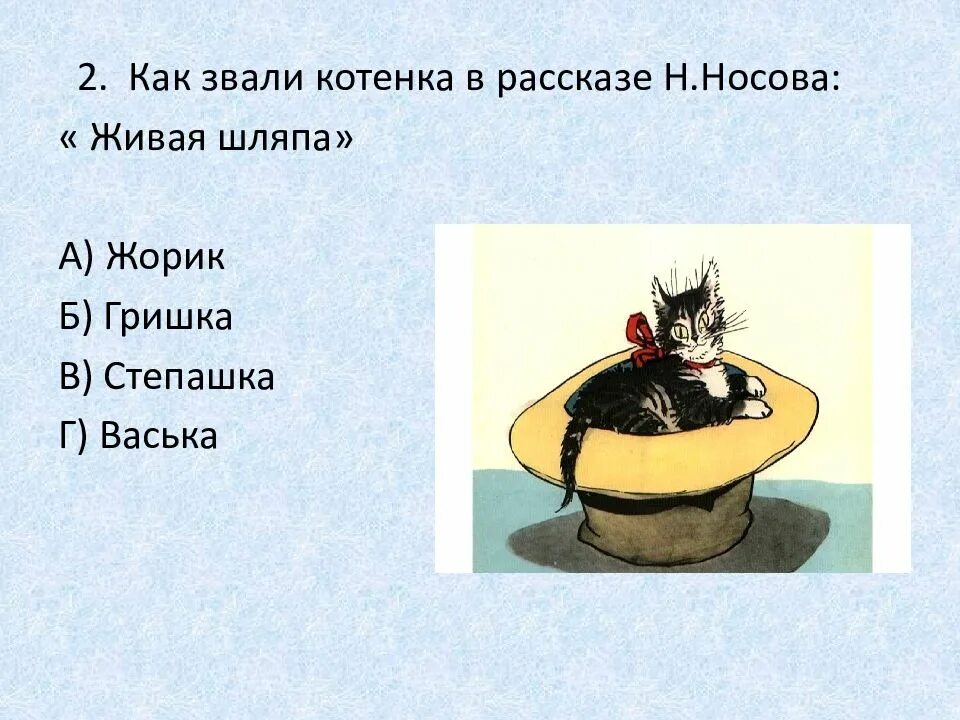 Живая шляпа Носова. Живая шляпа вопросы.