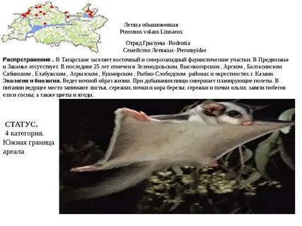 Какие животные в красной книге татарстана