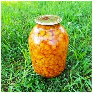 Литр морошки