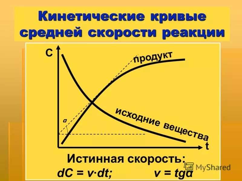 Истинная скорость реакции. Истинная скорость реакции