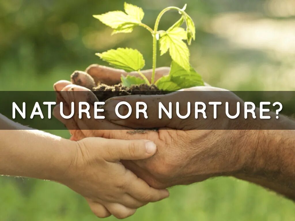 Natural v. Nature versus nurture. Nature vs nurture. Nature via nurture. 100 Houses: nature and nurture.