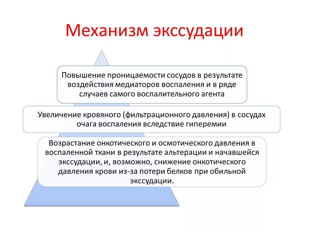 Экссудация возникает вследствие. Механизм развития экссудата. Механизм развития экссудации при воспалении. Экссудация определение механизм развития. Механизм образования экссудата при воспалении.