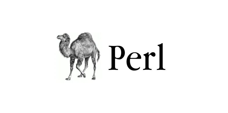 Perl system. Perl язык программирования. perl логотип. perl логотип без фона. perl logo язык программирования.