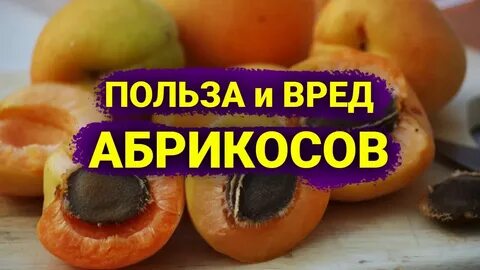 Абрикос вред