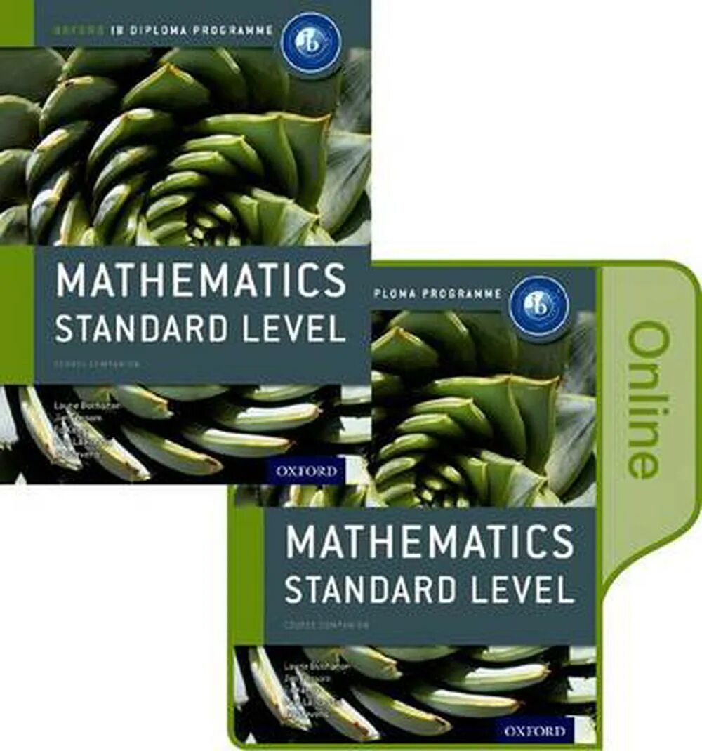 Ib mathematics