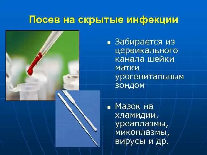 Б посев. Мазок на бак посев из цервикального канала. пробирка для бак посева из цервикального канала. забор материала из цервикального канала. посев на хламидии.