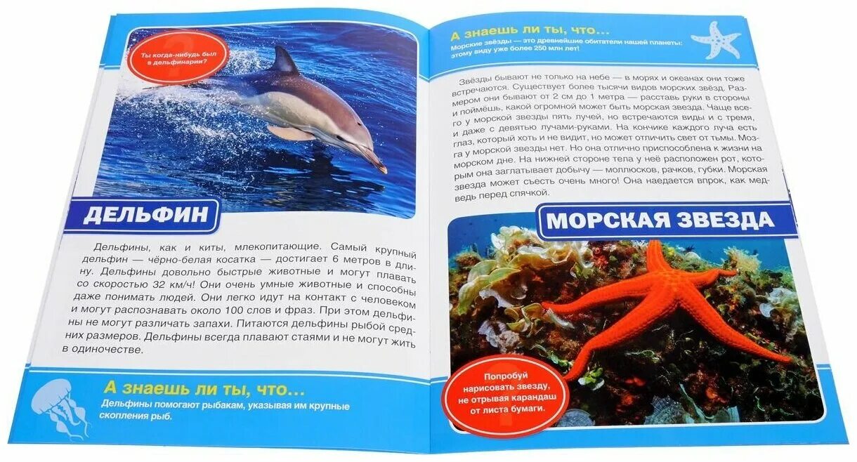 обитатели отзыв. большая энциклопедия животных книга. обитатели отзыв. детские книги про океан. смешарики животные.