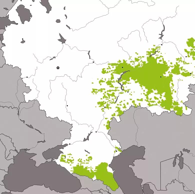 Мусульмане в Европе карта. Карта расселения мусульман в России. Расселение мусульман в Европе.