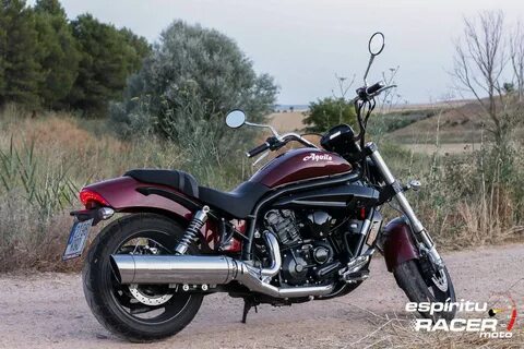 Prinx aquila pro отзывы